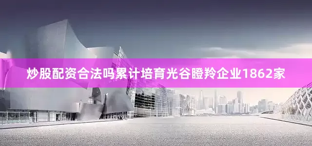 炒股配资合法吗累计培育光谷瞪羚企业1862家