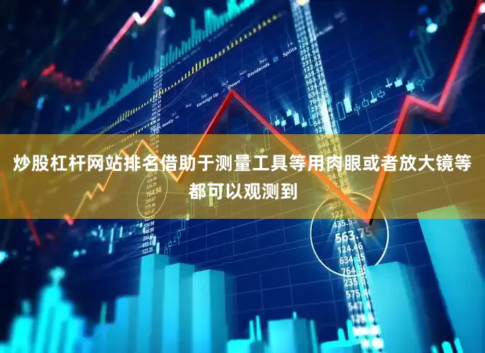 炒股杠杆网站排名借助于测量工具等用肉眼或者放大镜等都可以观测到