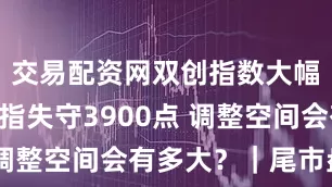 交易配资网双创指数大幅下挫 沪指失守3900点 调整空间会有多大？｜尾市盘点