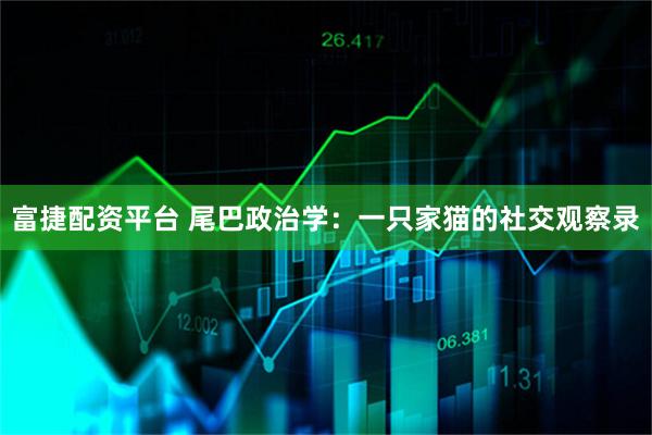 富捷配资平台 尾巴政治学：一只家猫的社交观察录