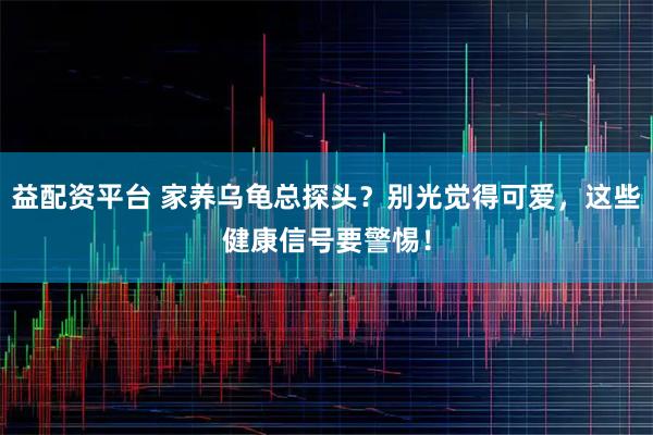 益配资平台 家养乌龟总探头？别光觉得可爱，这些健康信号要警惕！