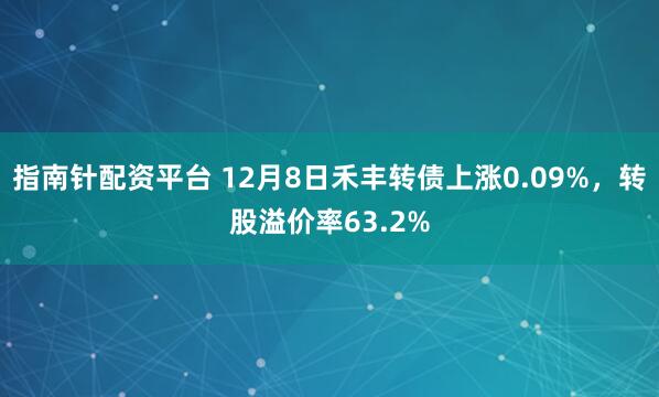 指南针配资平台 12月8日禾丰转债上涨0.09%,转股溢价率63.2%